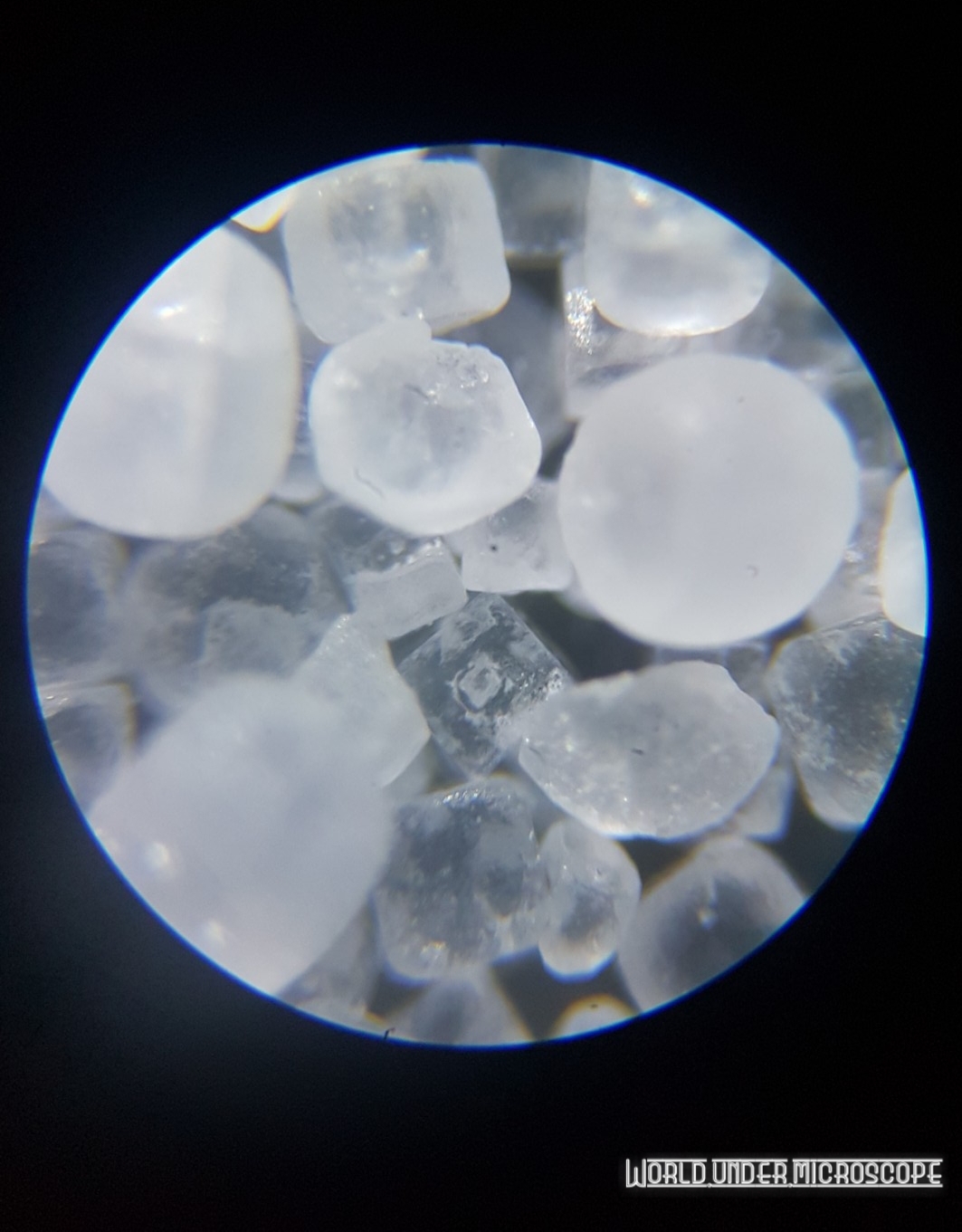 HBAR NFT Collection World under a microscope